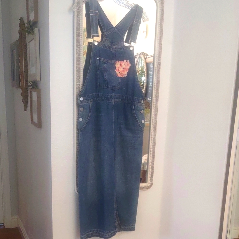 Anthropologie Pilcro Denim Overhauls